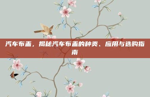 汽车布盖,揭秘汽车布盖的种类、应用与选购指南