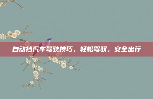 自动挡汽车驾驶技巧，轻松驾驭，安全出行