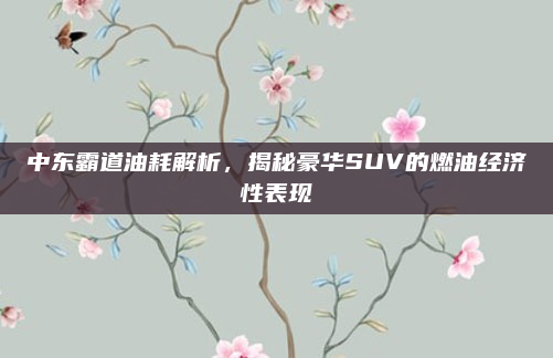 中东霸道油耗解析，揭秘豪华SUV的燃油经济性表现