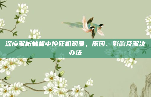 深度解析林肯中控死机现象，原因、影响及解决办法