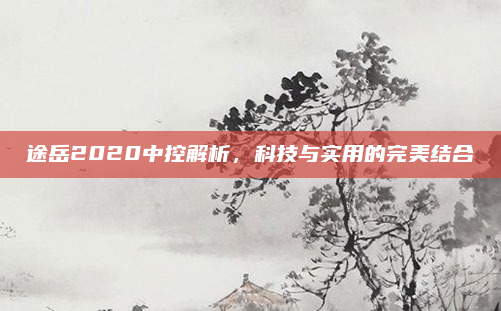 途岳2020中控解析,科技与实用的完美结合