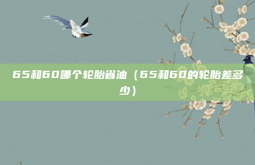 65和60哪个轮胎省油(65和60的轮胎差多少)