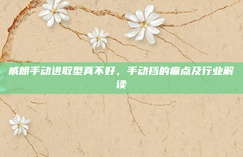 威朗手动进取型真不好,手动挡的痛点及行业解读
