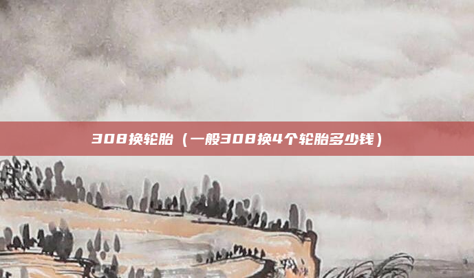 308换轮胎(一般308换4个轮胎多少钱)