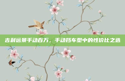 吉利远景手动百万，手动挡车型中的性价比之选