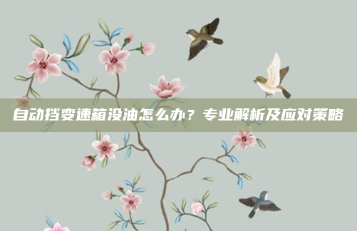 自动挡变速箱没油怎么办？专业解析及应对策略
