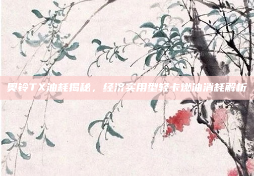 奥铃TX油耗揭秘,经济实用型轻卡燃油消耗解析