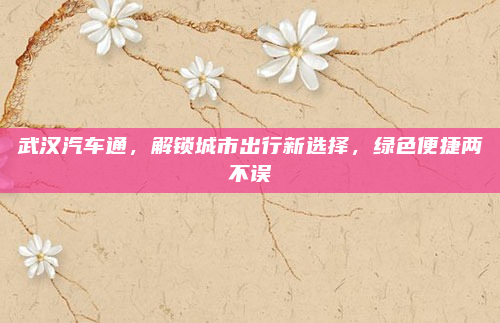 武汉汽车通,解锁城市出行新选择,绿色便捷两不误
