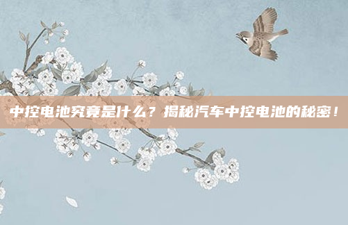 中控电池究竟是什么?揭秘汽车中控电池的秘密!