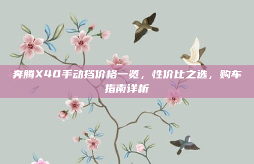 奔腾X40手动挡价格一览,性价比之选,购车指南详析