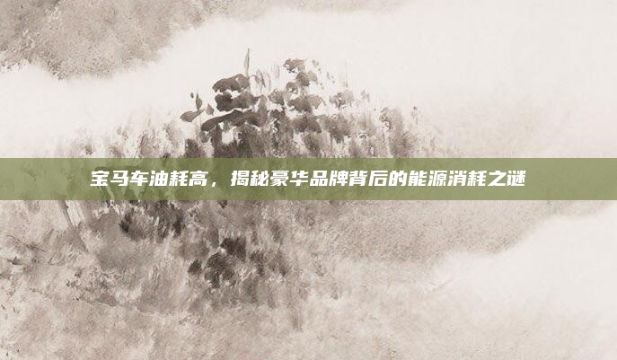 宝马车油耗高，揭秘豪华品牌背后的能源消耗之谜