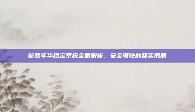 新嘉年华稳定系统全面解析,安全驾驶的坚实后盾