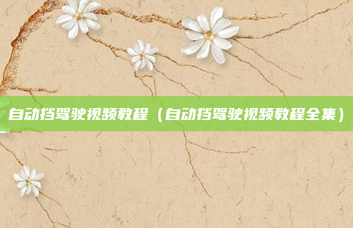 自动挡驾驶视频教程（自动挡驾驶视频教程全集）