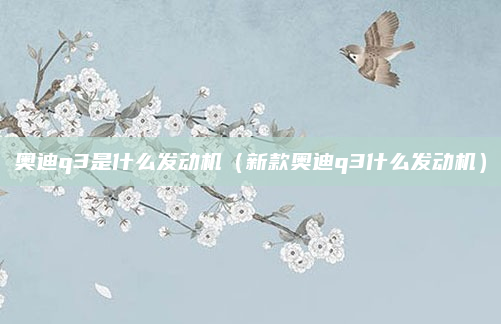 奥迪q3是什么发动机（新款奥迪q3什么发动机）