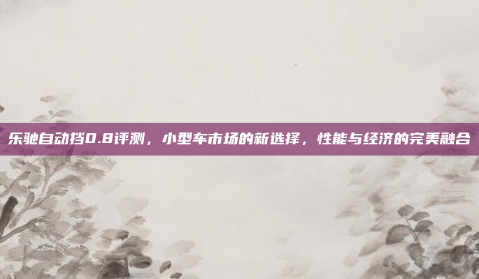 乐驰自动挡0.8评测,小型车市场的新选择,性能与经济的完美融合