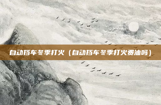 自动挡车冬季打火（自动挡车冬季打火费油吗）