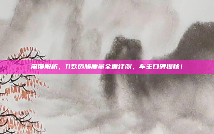 深度解析,11款迈腾质量全面评测,车主口碑揭秘!
