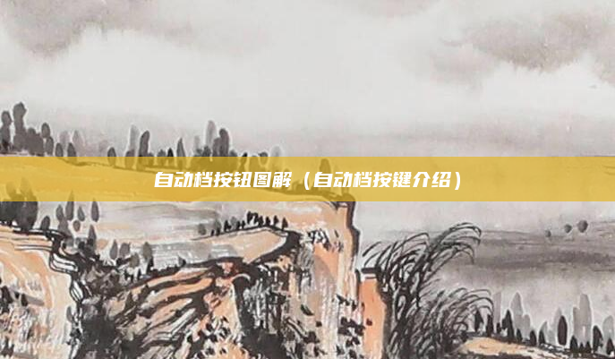 自动档按钮图解（自动档按键介绍）