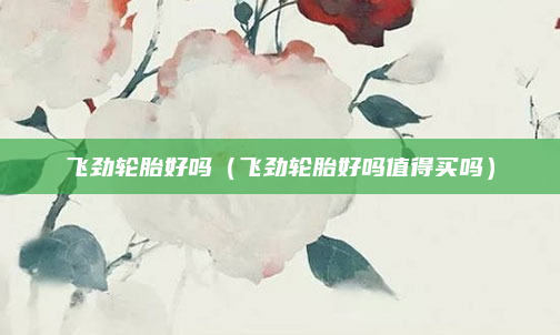 飞劲轮胎好吗（飞劲轮胎好吗值得买吗）