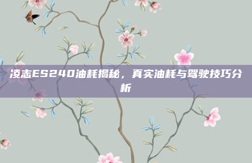 凌志ES240油耗揭秘,真实油耗与驾驶技巧分析