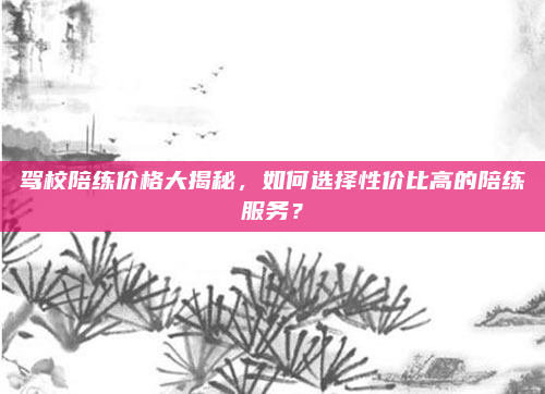 驾校陪练价格大揭秘,如何选择性价比高的陪练服务?