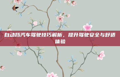 自动挡汽车驾驶技巧解析,提升驾驶安全与舒适体验
