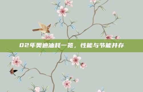 02年奥迪油耗一览，性能与节能并存