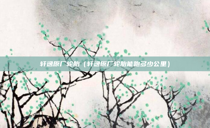 轩逸原厂轮胎（轩逸原厂轮胎能跑多少公里）