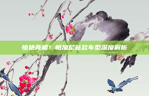 惊艳亮相!帕加尼新款车型深度解析