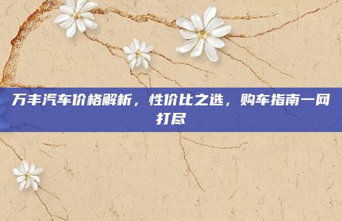 万丰汽车价格解析,性价比之选,购车指南一网打尽