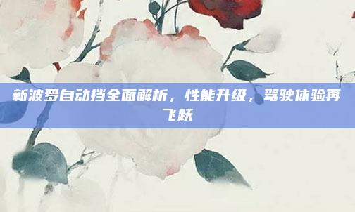 新波罗自动挡全面解析,性能升级,驾驶体验再飞跃