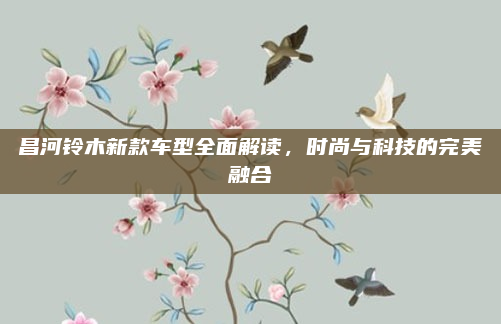 昌河铃木新款车型全面解读,时尚与科技的完美融合