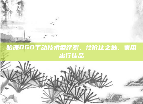 骏派D60手动技术型评测，性价比之选，家用出行佳品