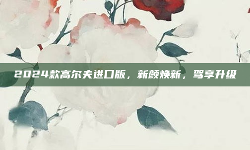 2024款高尔夫进口版,新颜焕新,驾享升级