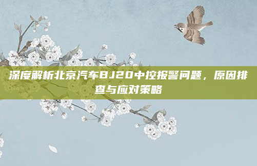 深度解析北京汽车BJ20中控报警问题，原因排查与应对策略
