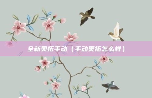全新奥拓手动(手动奥拓怎么样)