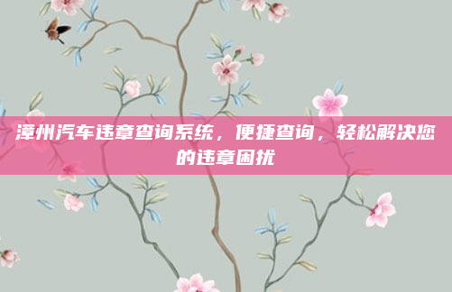 漳州汽车违章查询系统，便捷查询，轻松解决您的违章困扰