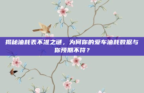 揭秘油耗表不准之谜，为何你的爱车油耗数据与你预期不符？