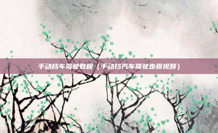 手动档车驾驶教程(手动挡汽车驾驶步骤视频)