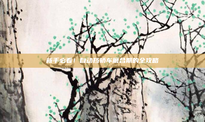 新手必看！自动挡轿车磨合期的全攻略