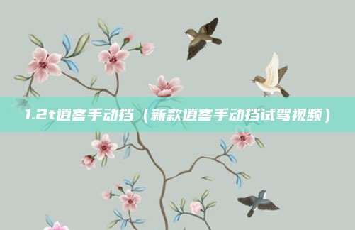 1.2t逍客手动挡(新款逍客手动挡试驾视频)