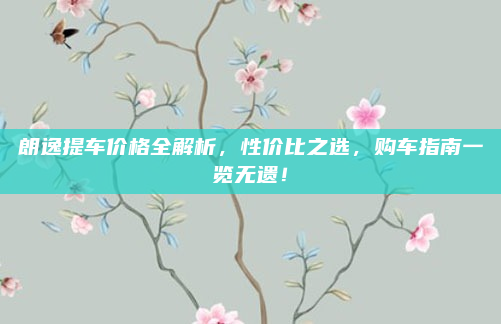 朗逸提车价格全解析,性价比之选,购车指南一览无遗!
