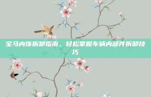 宝马内饰拆卸指南，轻松掌握车辆内部件拆卸技巧