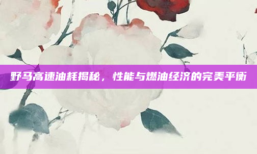 野马高速油耗揭秘，性能与燃油经济的完美平衡