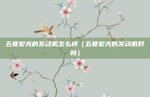 五菱宏光的发动机怎么样(五菱宏光的发动机好吗)