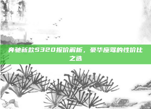 奔驰新款S320报价解析,豪华座驾的性价比之选