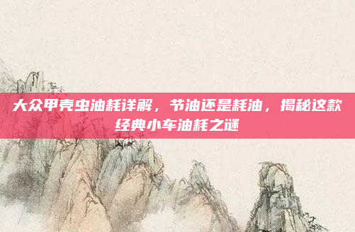 大众甲壳虫油耗详解，节油还是耗油，揭秘这款经典小车油耗之谜