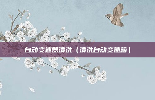 自动变速器清洗(清洗自动变速箱)