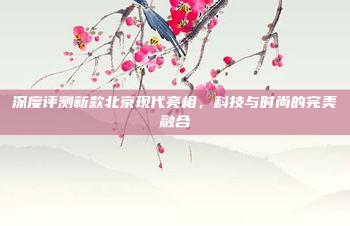 深度评测新款北京现代亮相,科技与时尚的完美融合