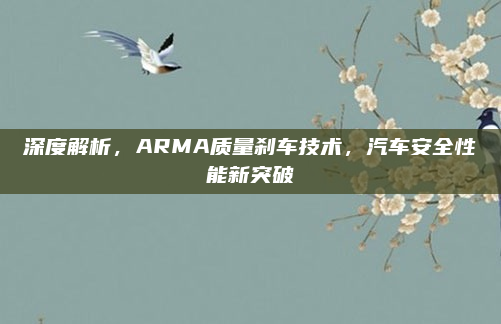 深度解析,ARMA质量刹车技术,汽车安全性能新突破